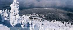 Winter Wellness