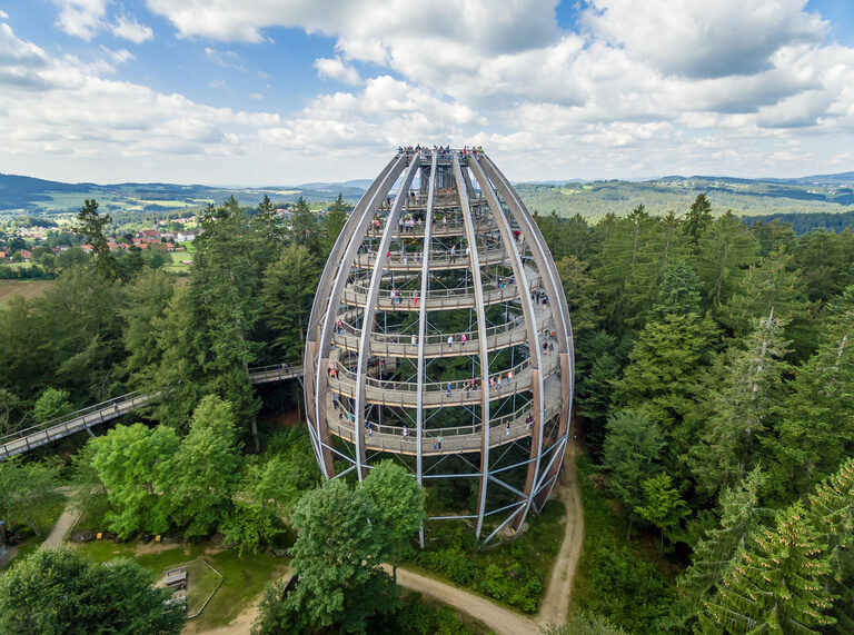 Das Baumei als Aussichtspunkt und als Ziel des Baumkronenpfad im Nationalpark Bayerischer Wald.