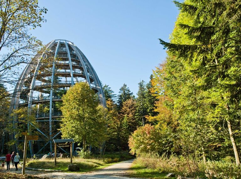 Baumwipfelpfad im Bayerischen Wald Blick zum Baumwipfelpfad im Nationalpark Bayerischer Wald mit vielen grünen Bäumen