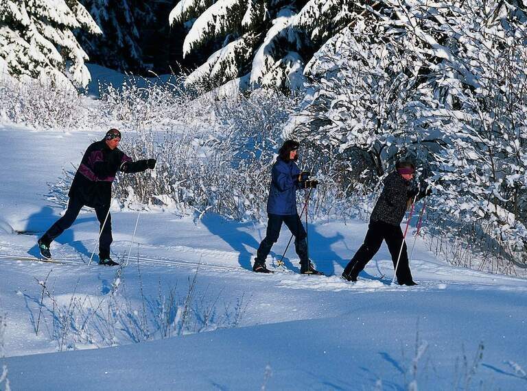 Eine Gruppe von Menschen beim Skitouren gehen, gehen einen verschneiten Hang hinauf.