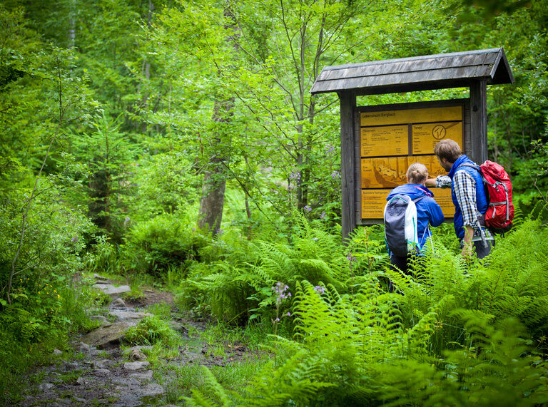 Ein Pärchen steht vor einer Wandertafel im dichten Grün des Bayerischen Wald.